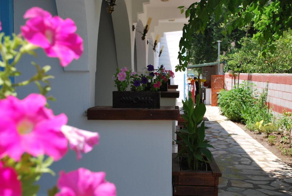 Myra Hotel Dalyan Kültér fotó